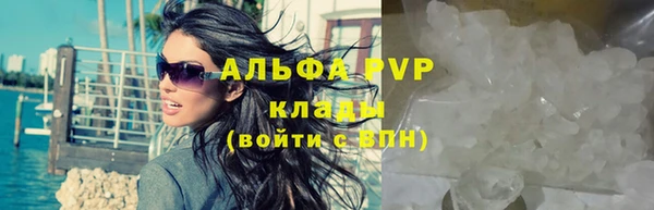 молекула духа Балахна