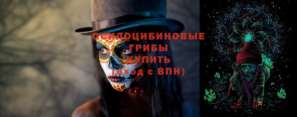 шишки Баксан