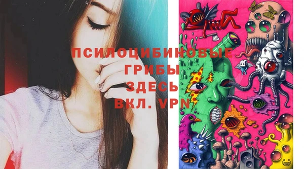 шишки Баксан