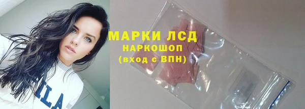 шишки Баксан