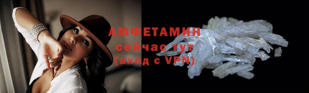 ПСИЛОЦИБИНОВЫЕ ГРИБЫ Балабаново
