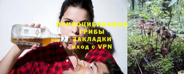 шишки Баксан
