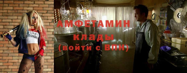 шишки Баксан